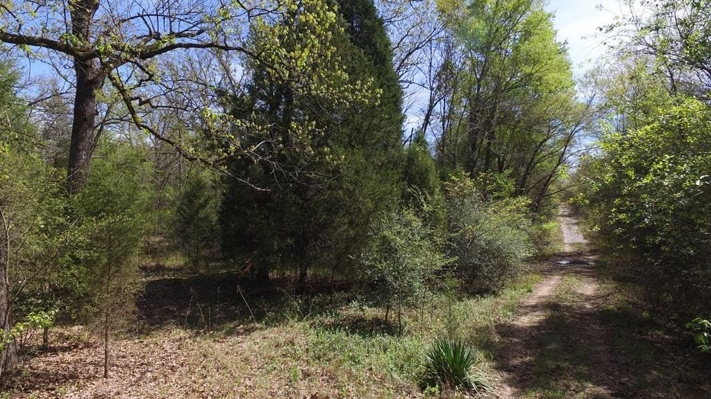 0.37 acres in Henderson County - photo 15