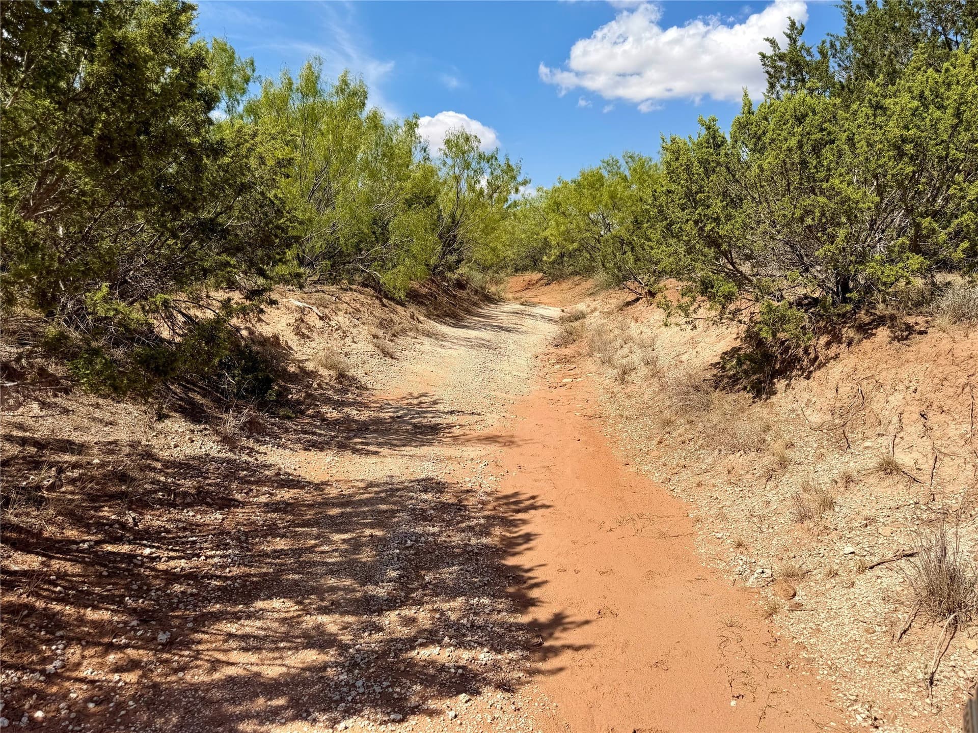 360 acres in Nolan County - photo 27