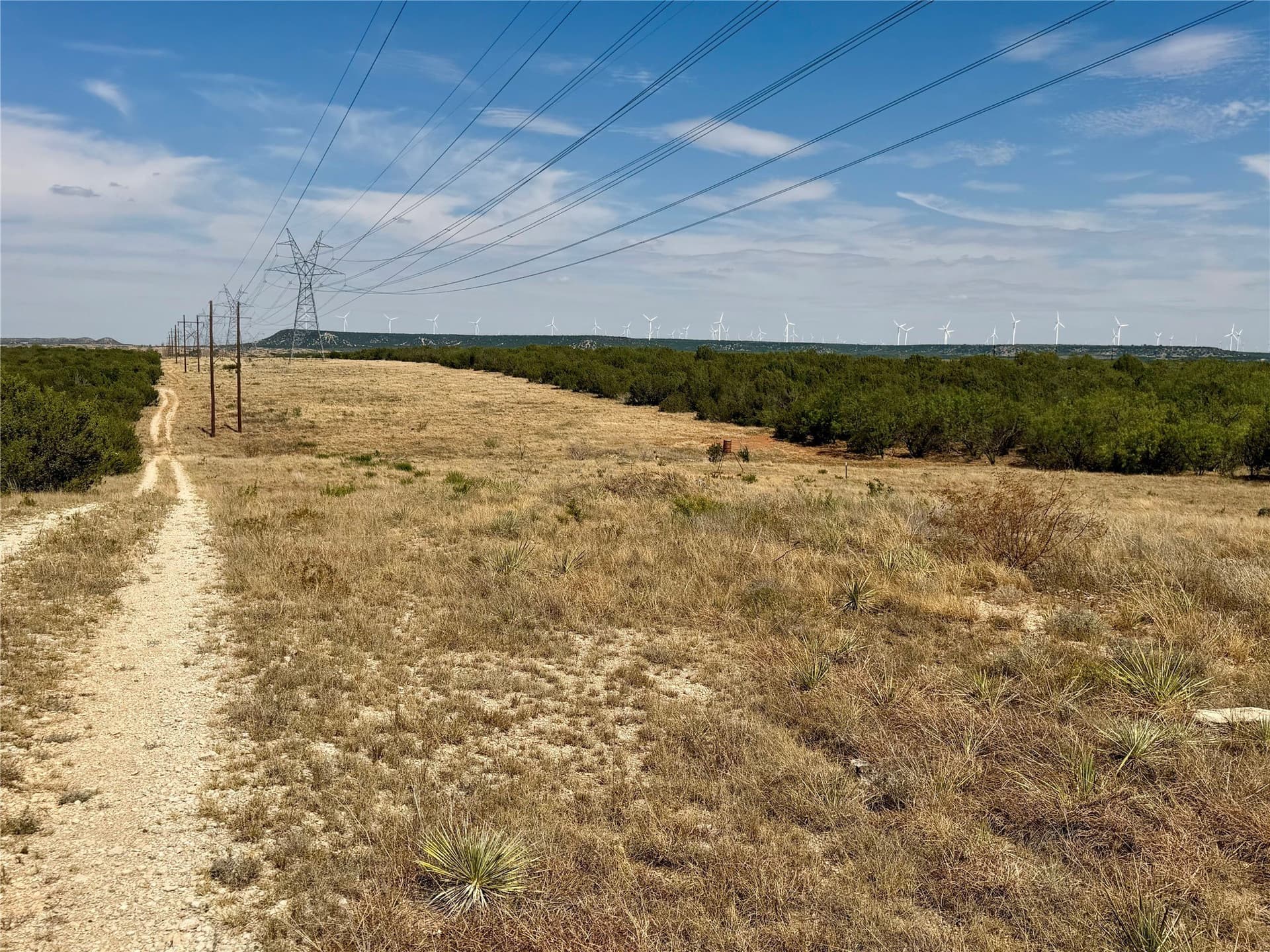 360 acres in Nolan County - photo 16