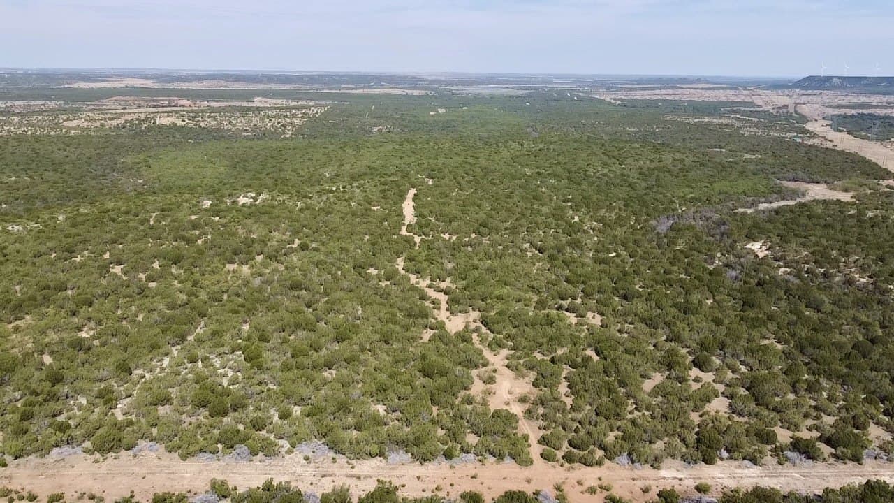 360 acres in Nolan County - photo 35