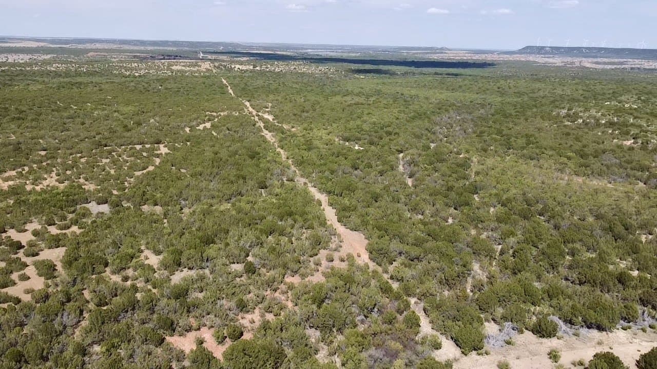 360 acres in Nolan County - photo 40
