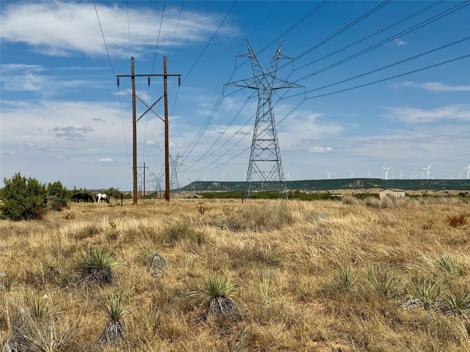 360 acres in Nolan County - photo 19
