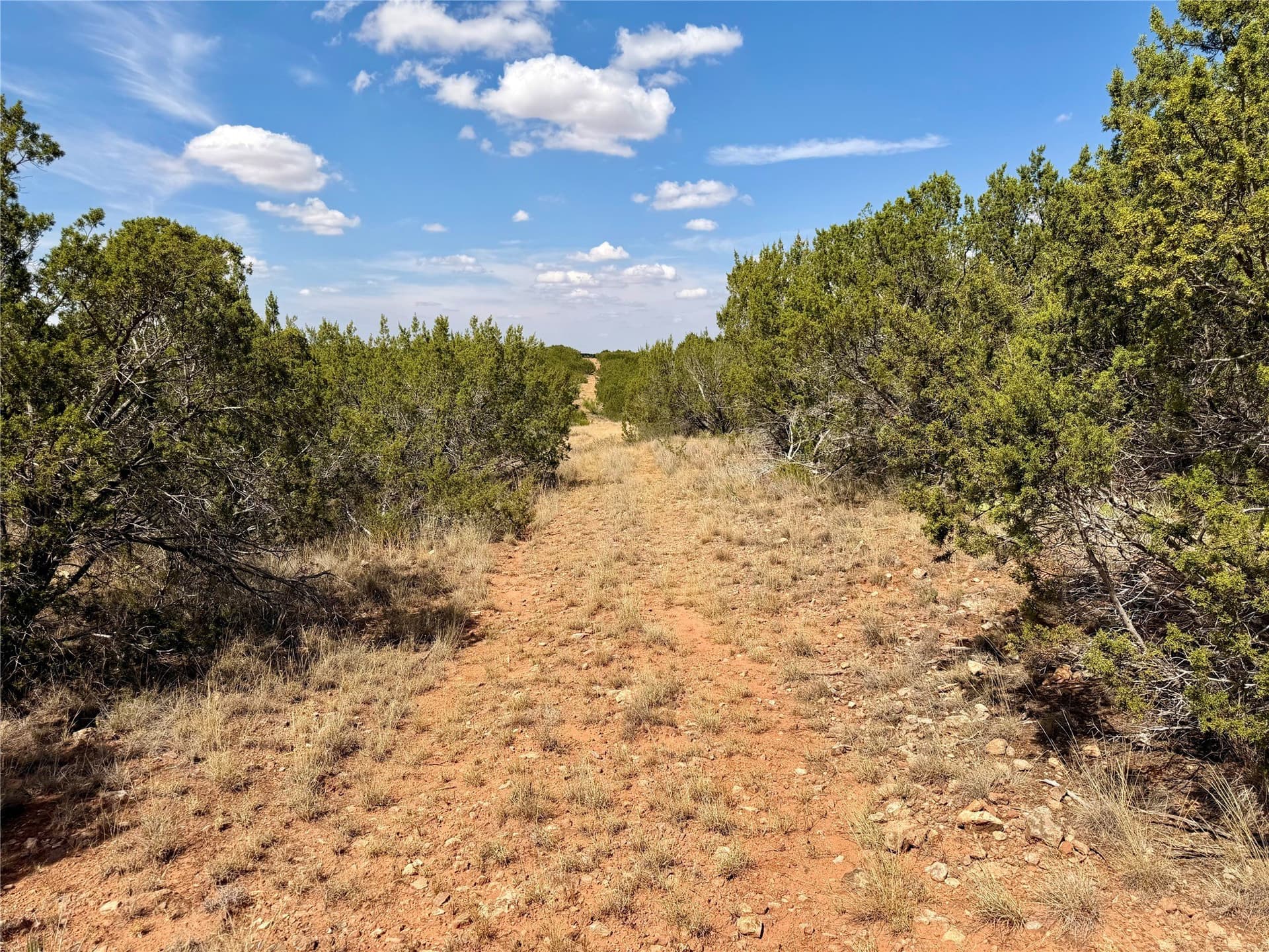 360 acres in Nolan County - photo 29