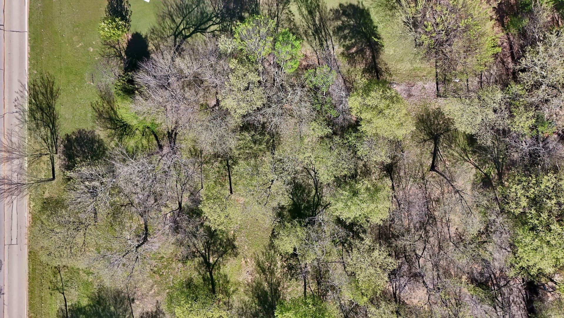 0.34 acres in Tarrant County - photo 5
