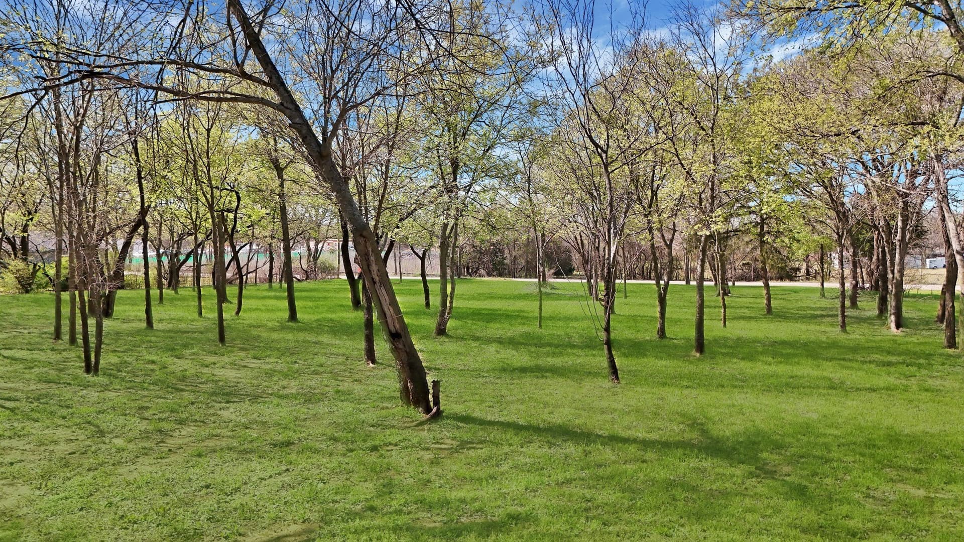 0.34 acres in Tarrant County - photo 11