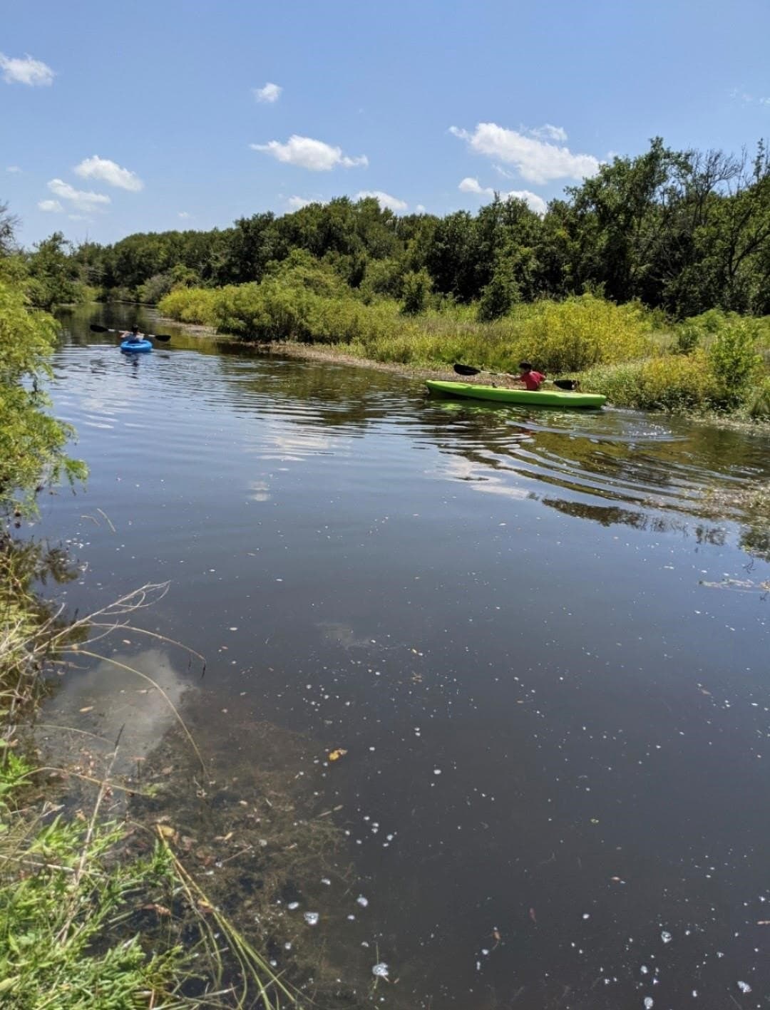 120.26 acres in Limestone County gallery image 4
