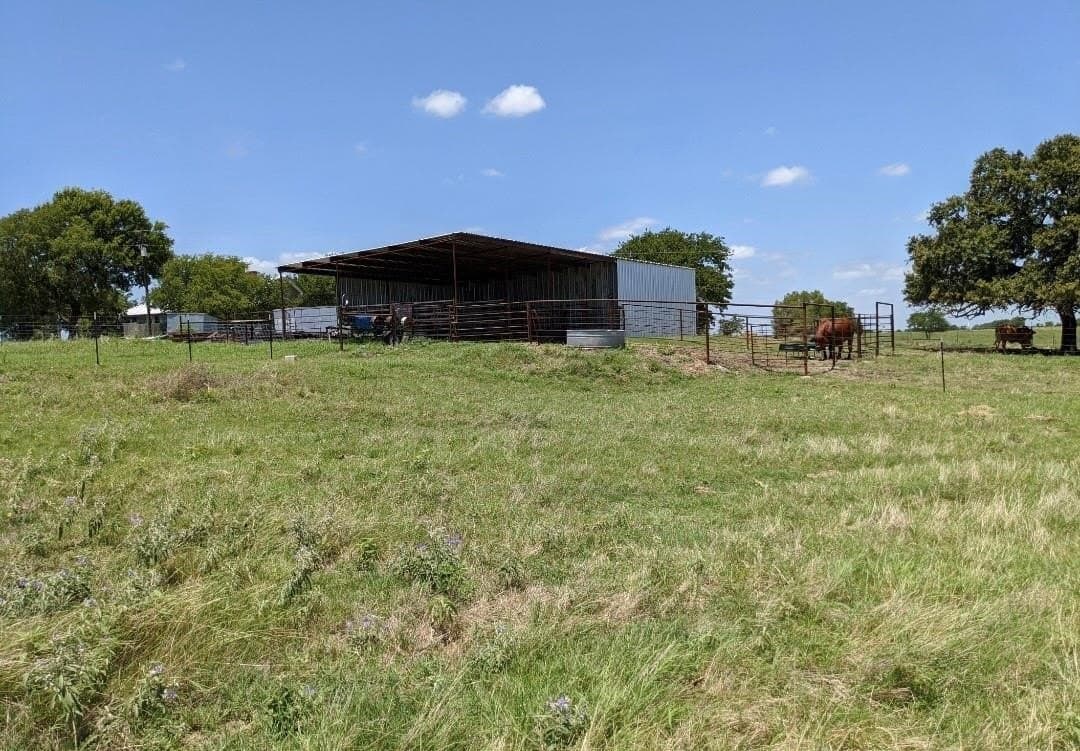 120.26 acres in Limestone County gallery image 2