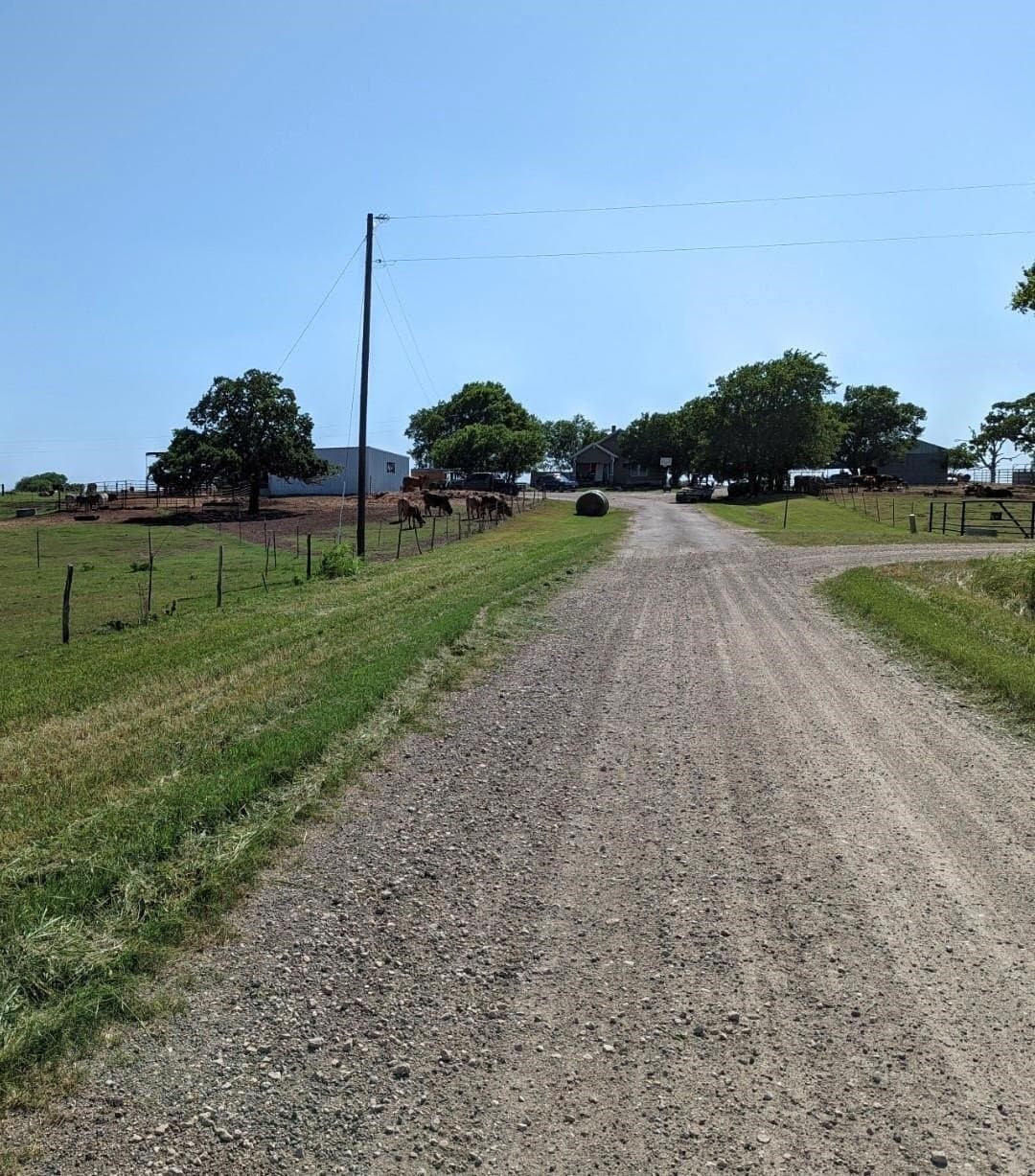 120.26 acres in Limestone County featured view