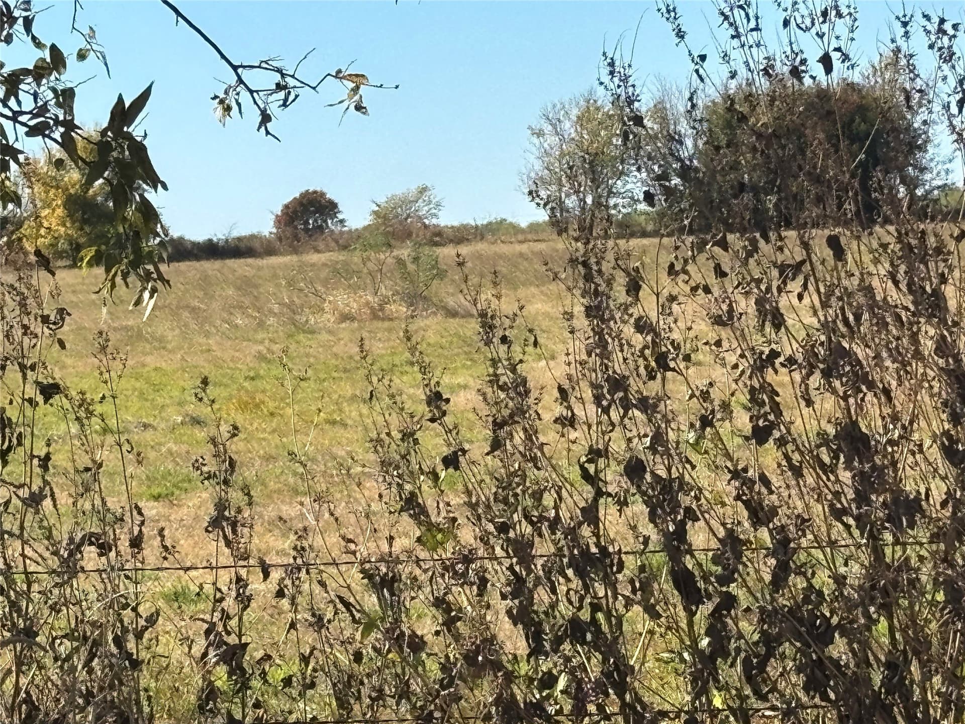 13.85 acres in Grayson County - photo 3