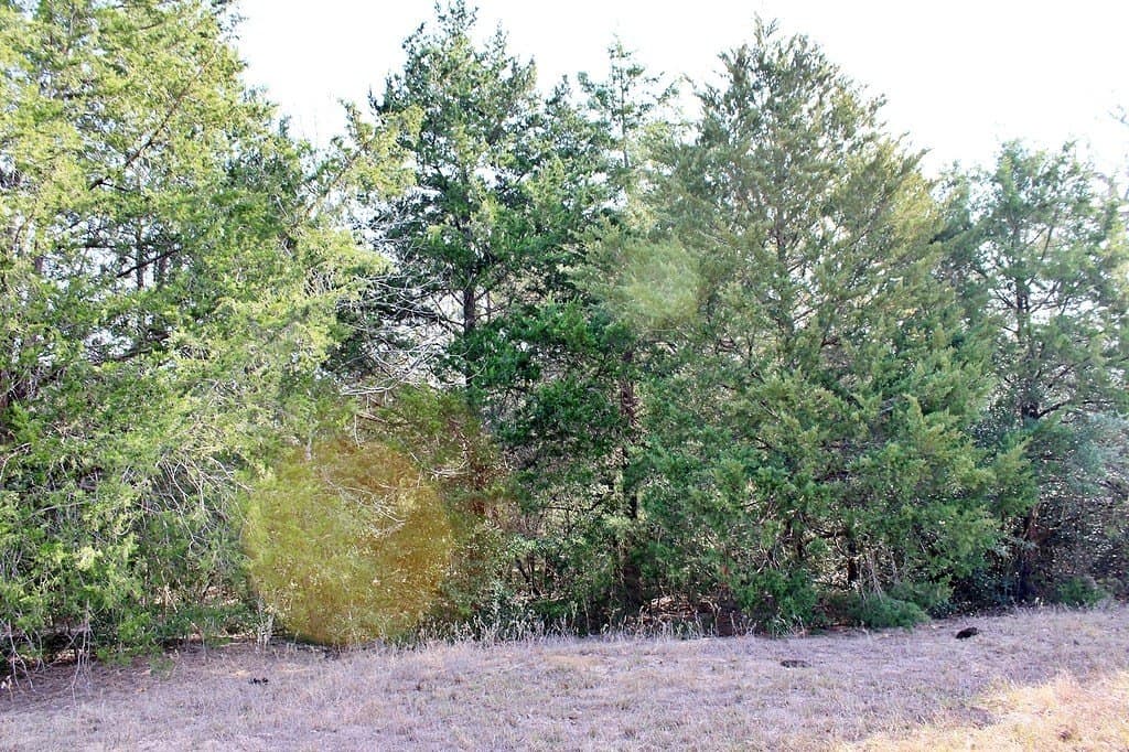 10 acres in Colorado County - photo 6