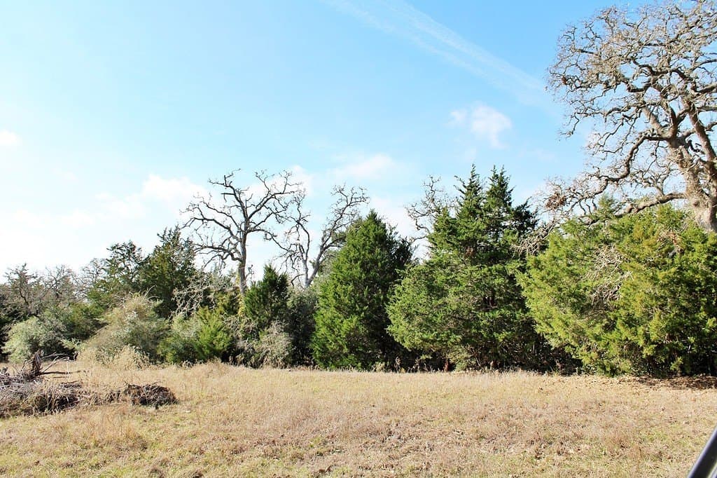 10 acres in Colorado County gallery image 4