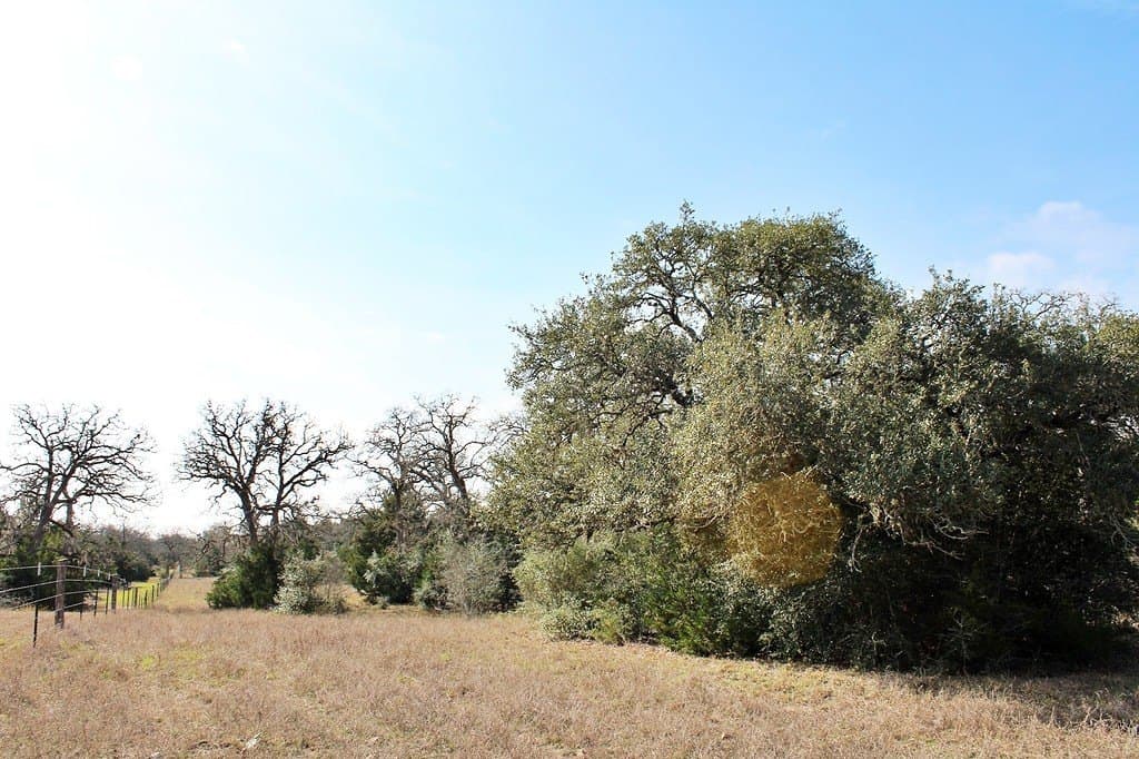 10 acres in Colorado County featured view
