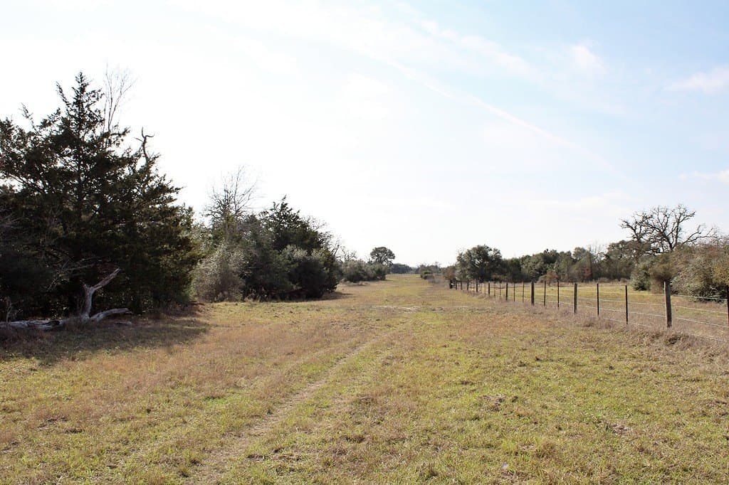 10 acres in Colorado County - photo 8