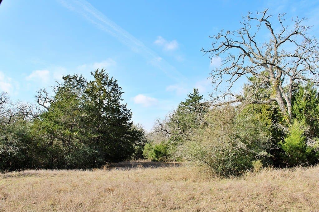 10 acres in Colorado County gallery image 3