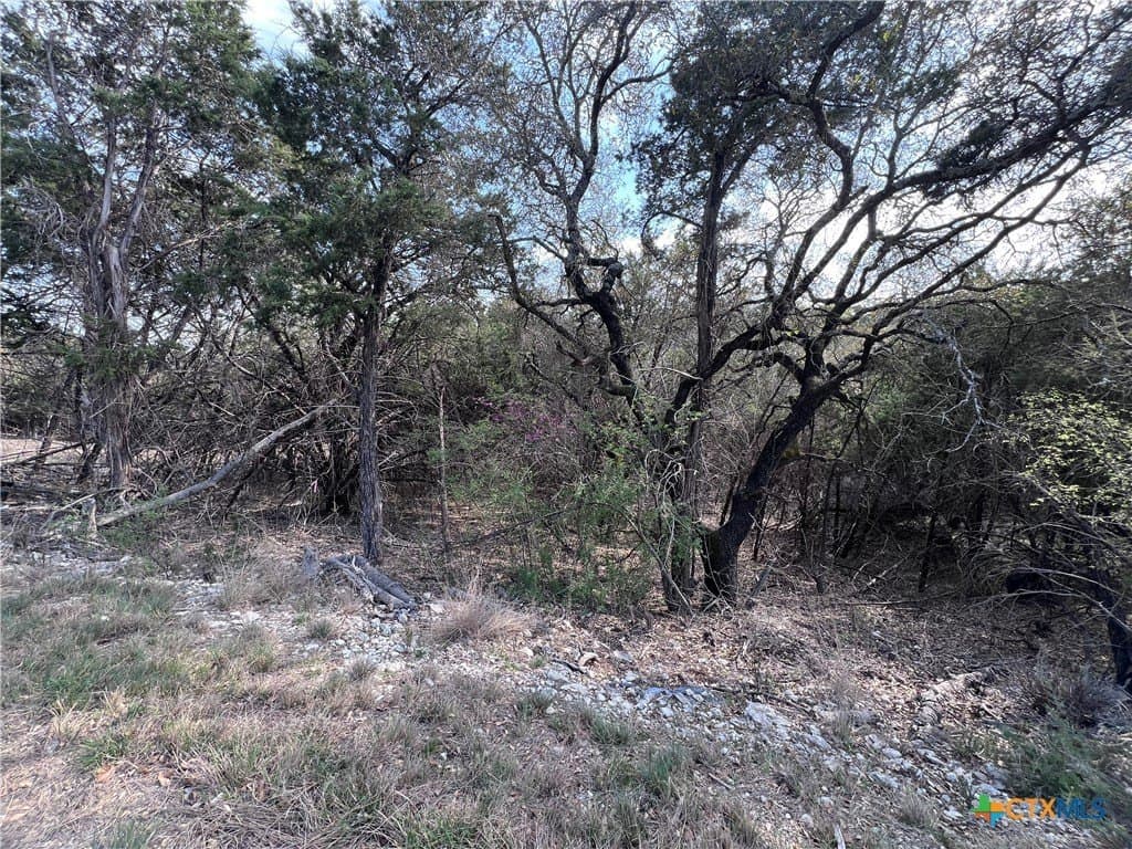 0.15 acres in Bell County gallery image 3