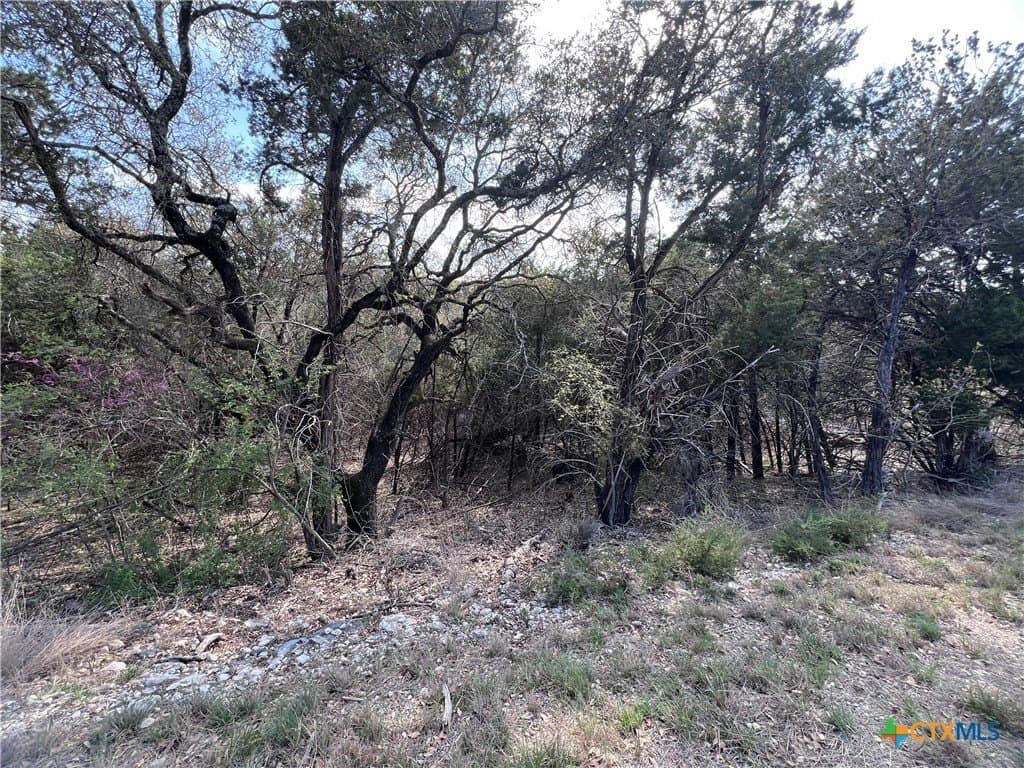 0.15 acres in Bell County gallery image 4