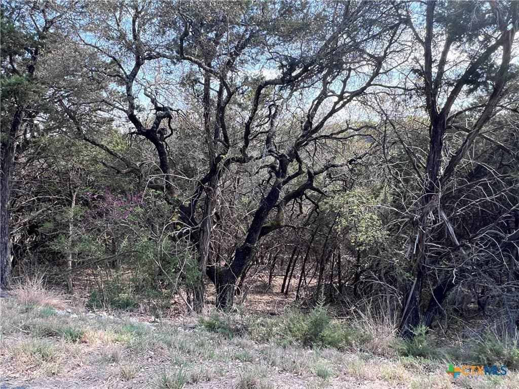 0.15 acres in Bell County gallery image 2