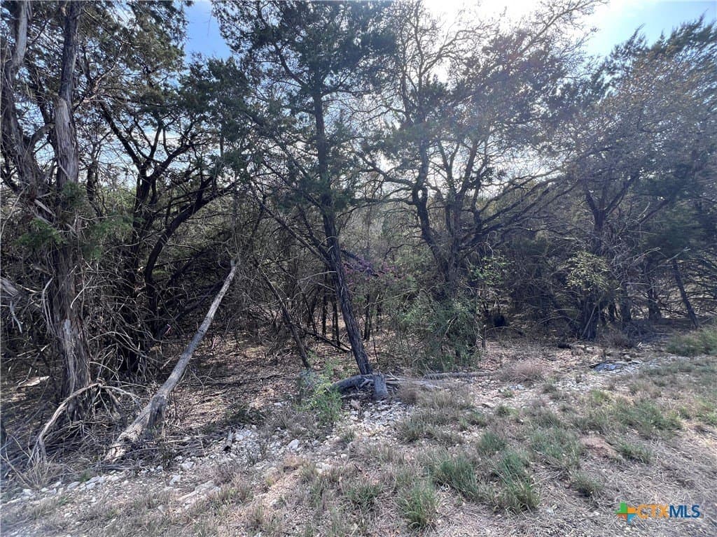 0.15 acres in Bell County featured view