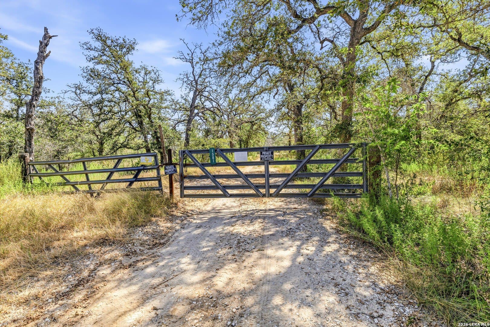45.29 acres in Wilson County - photo 2