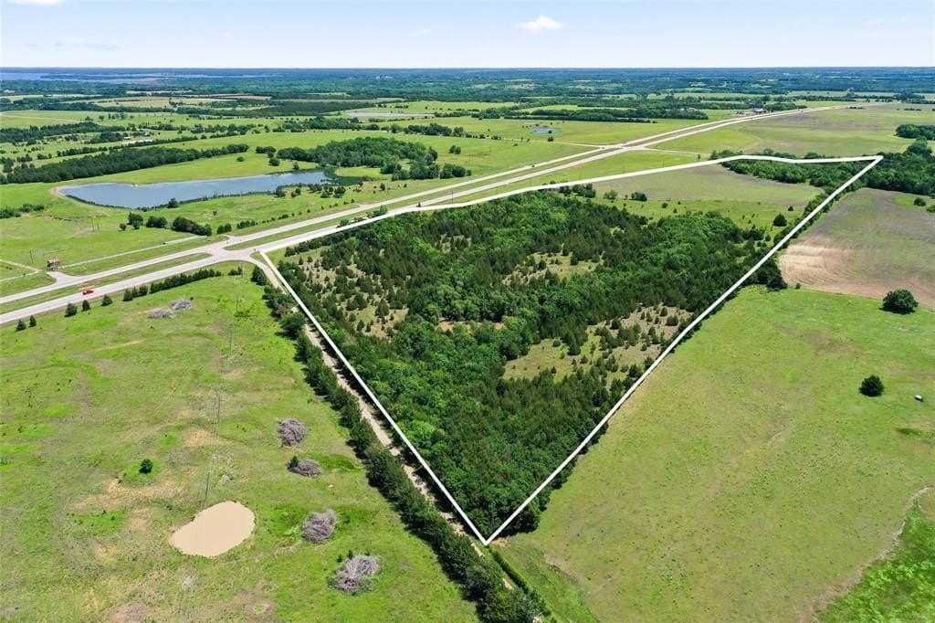44 acres in Fannin County gallery image 4