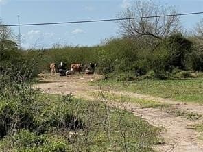 17.14 acres in Hidalgo County