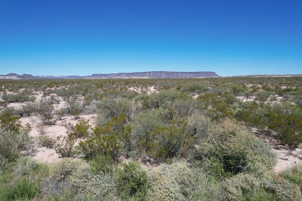 83.19 acres in Brewster County - photo 7