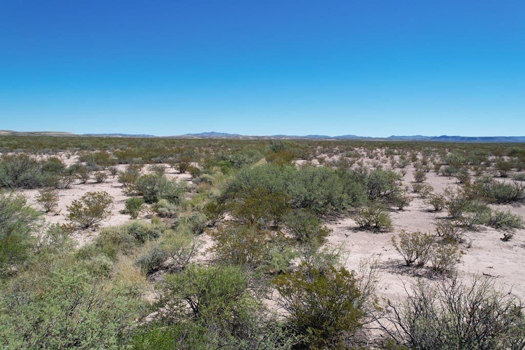 83.19 acres in Brewster County - photo 8
