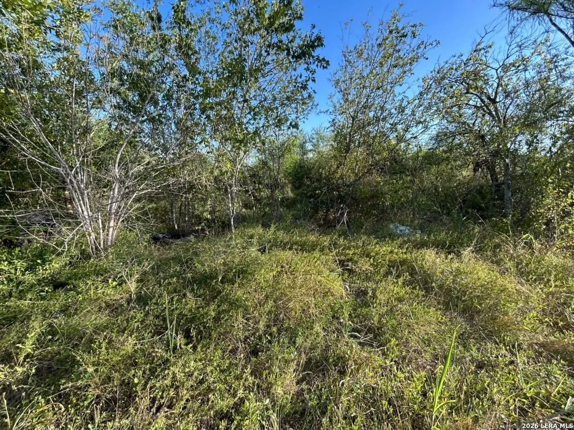 0.16 acres in Bexar County - photo 5