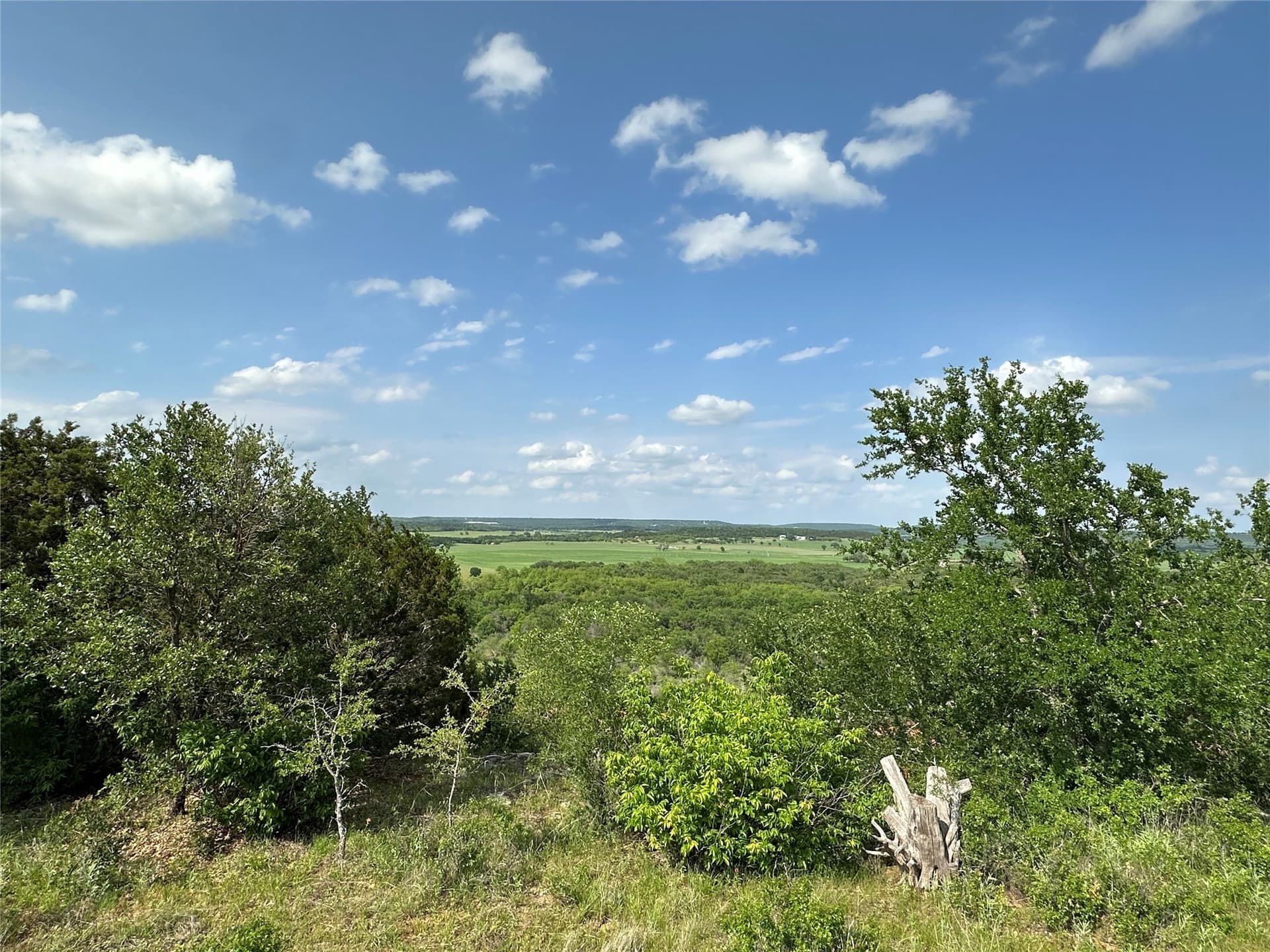 253.34 acres in Young County - photo 39