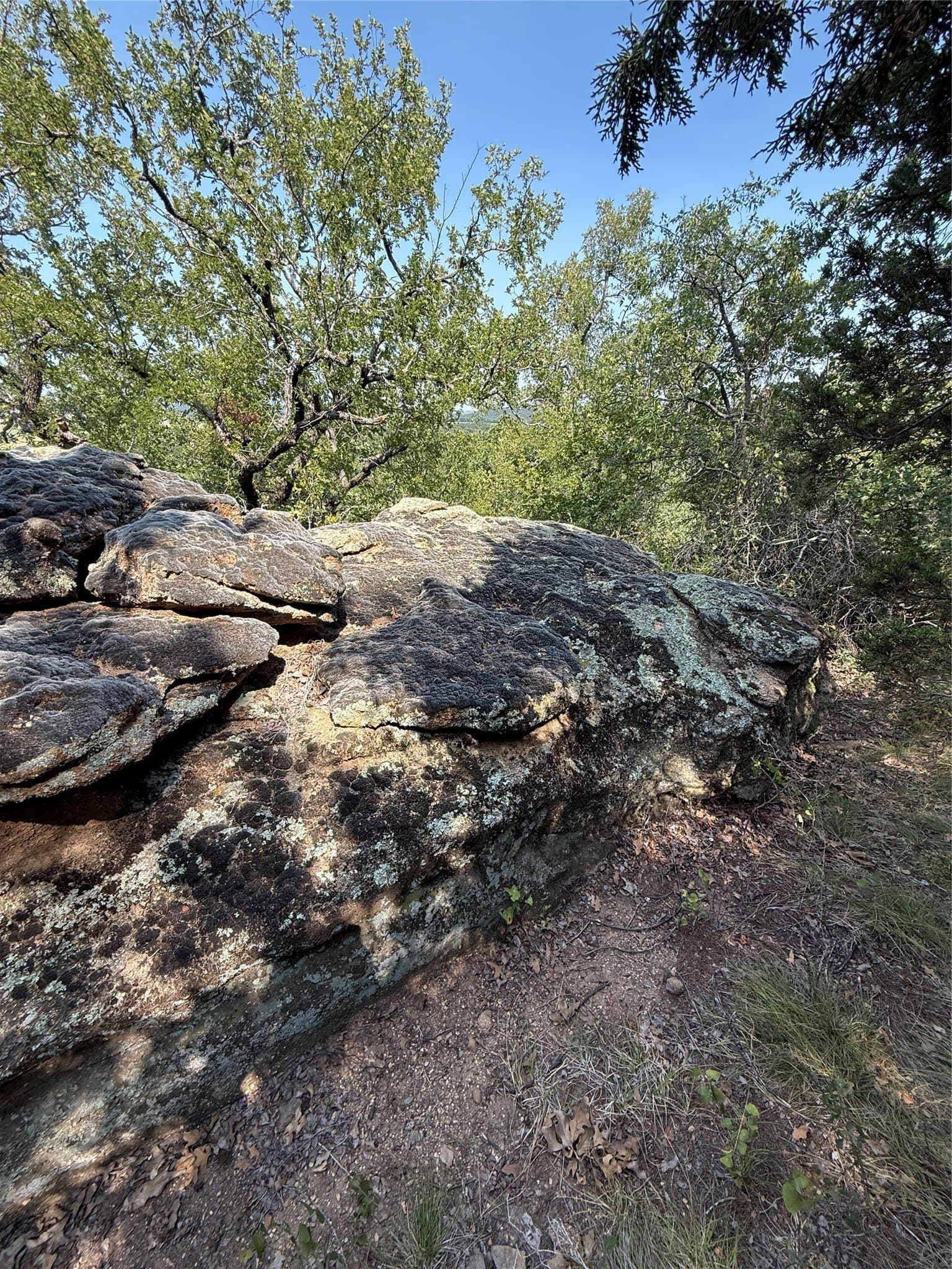 253.34 acres in Young County - photo 37