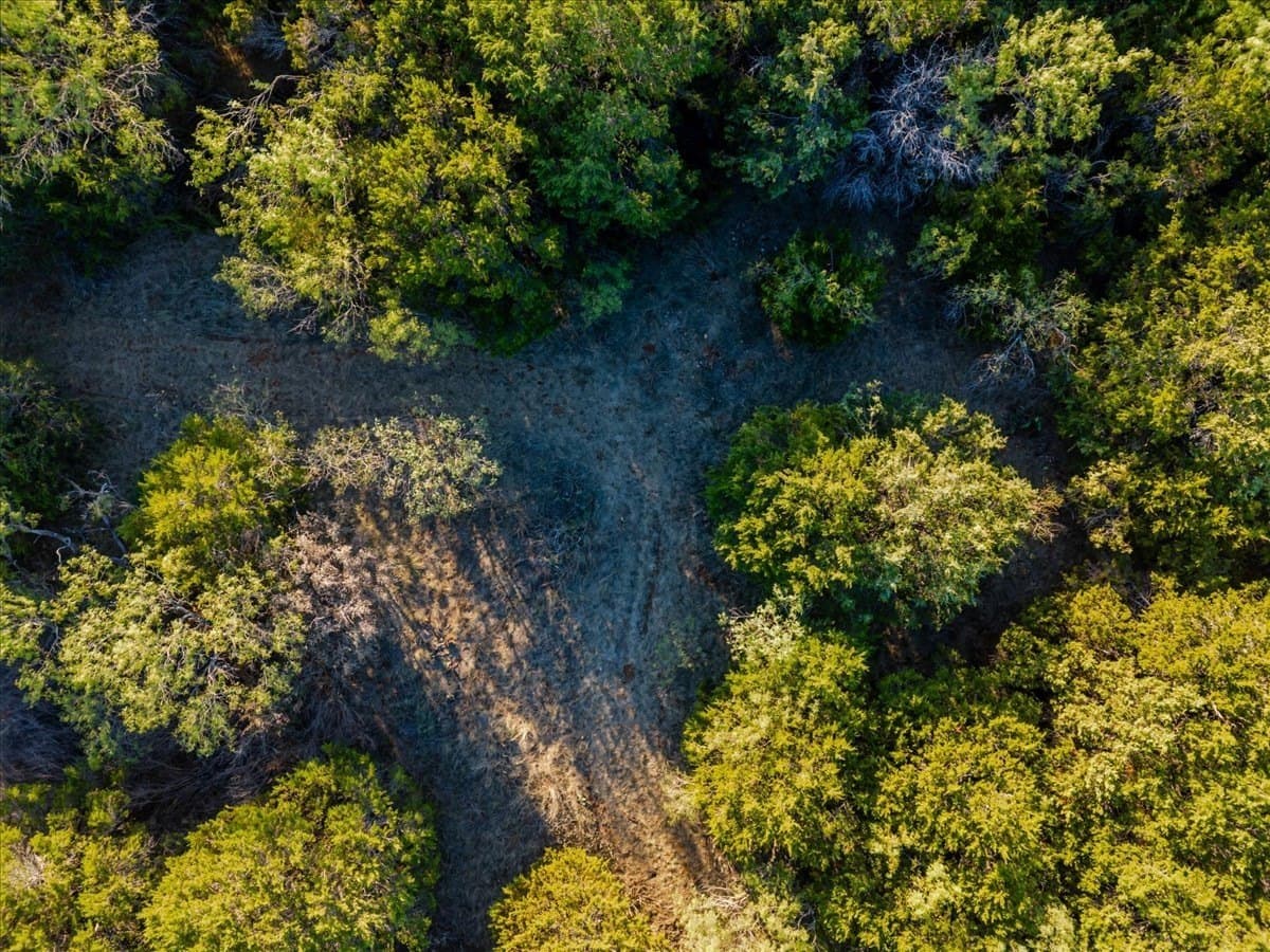 253.34 acres in Young County - photo 26