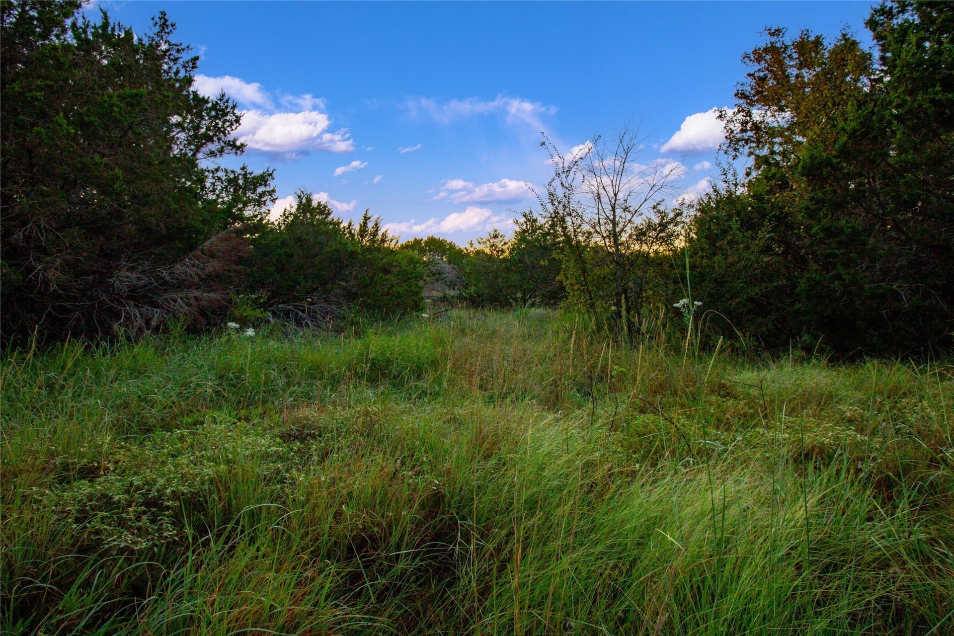54.55 acres in Palo Pinto County - photo 19