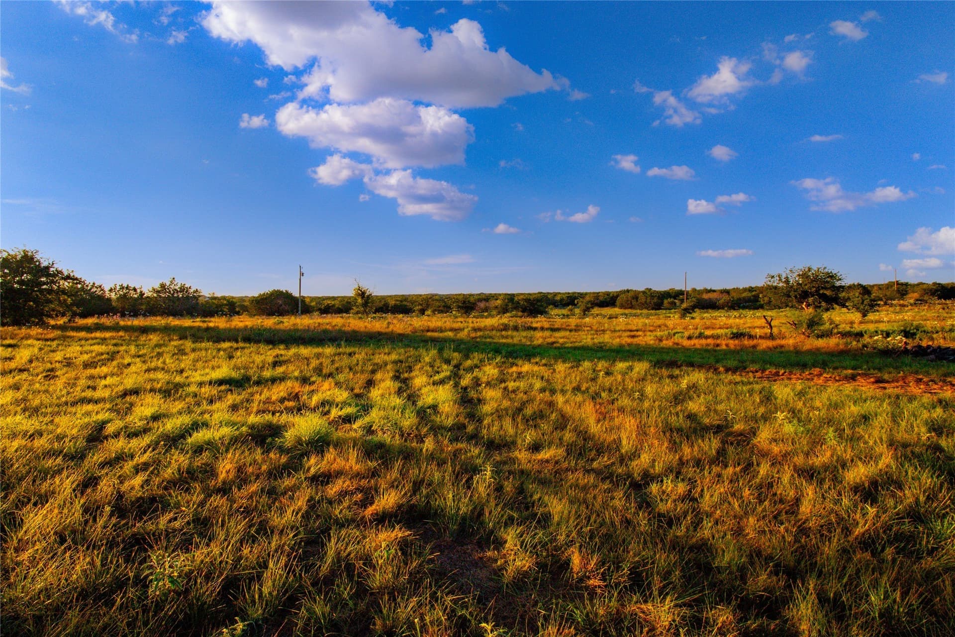 54.55 acres in Palo Pinto County - photo 11
