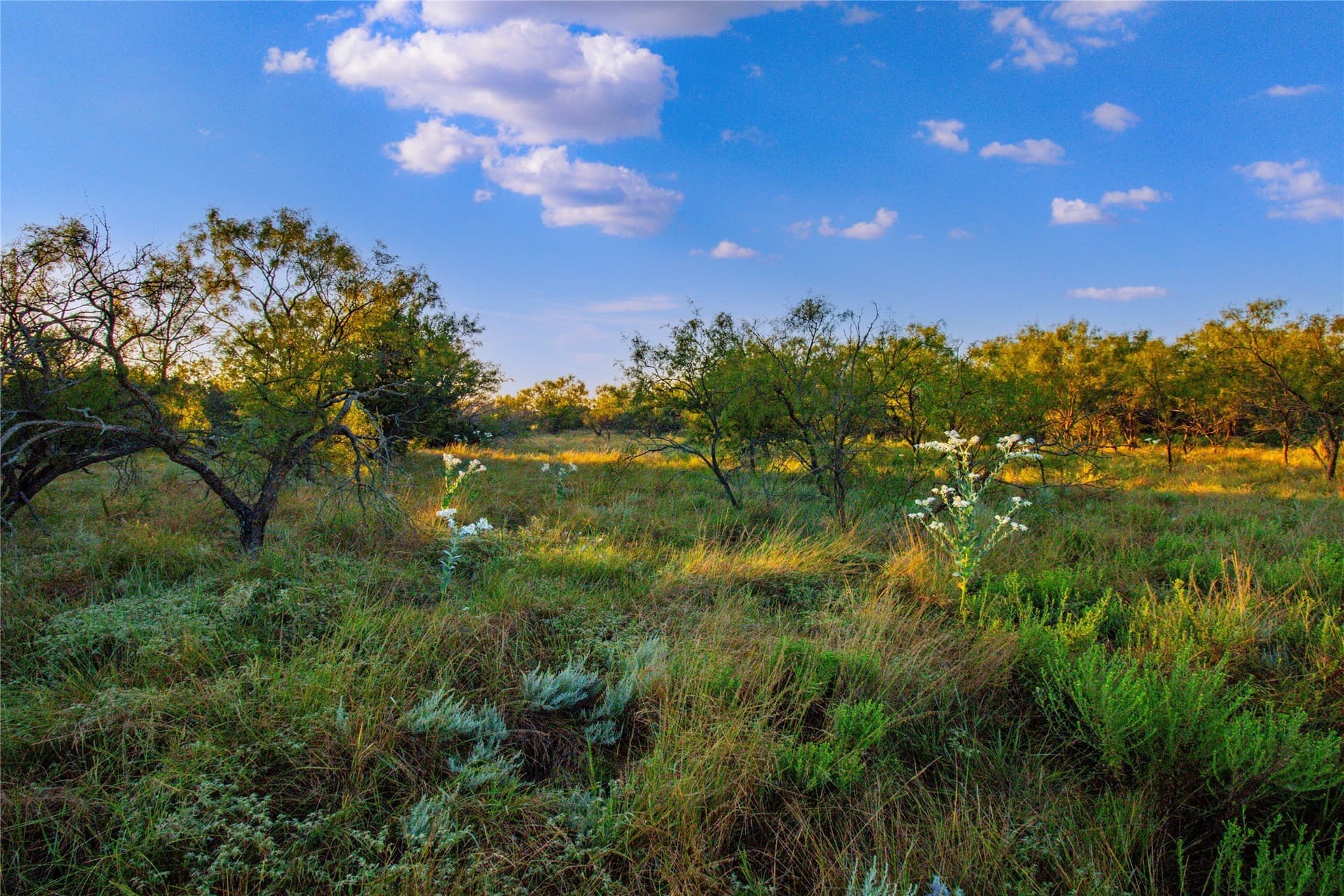 54.55 acres in Palo Pinto County - photo 18