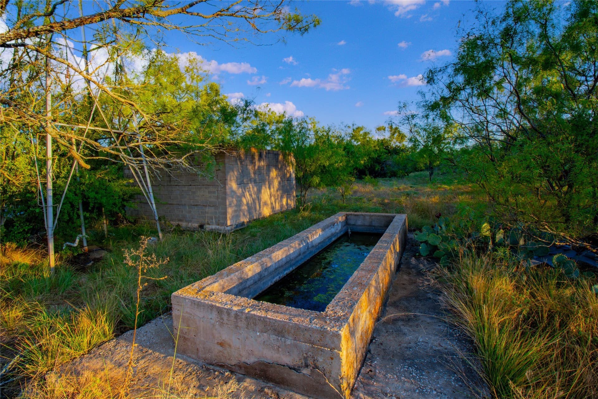 54.55 acres in Palo Pinto County - photo 22