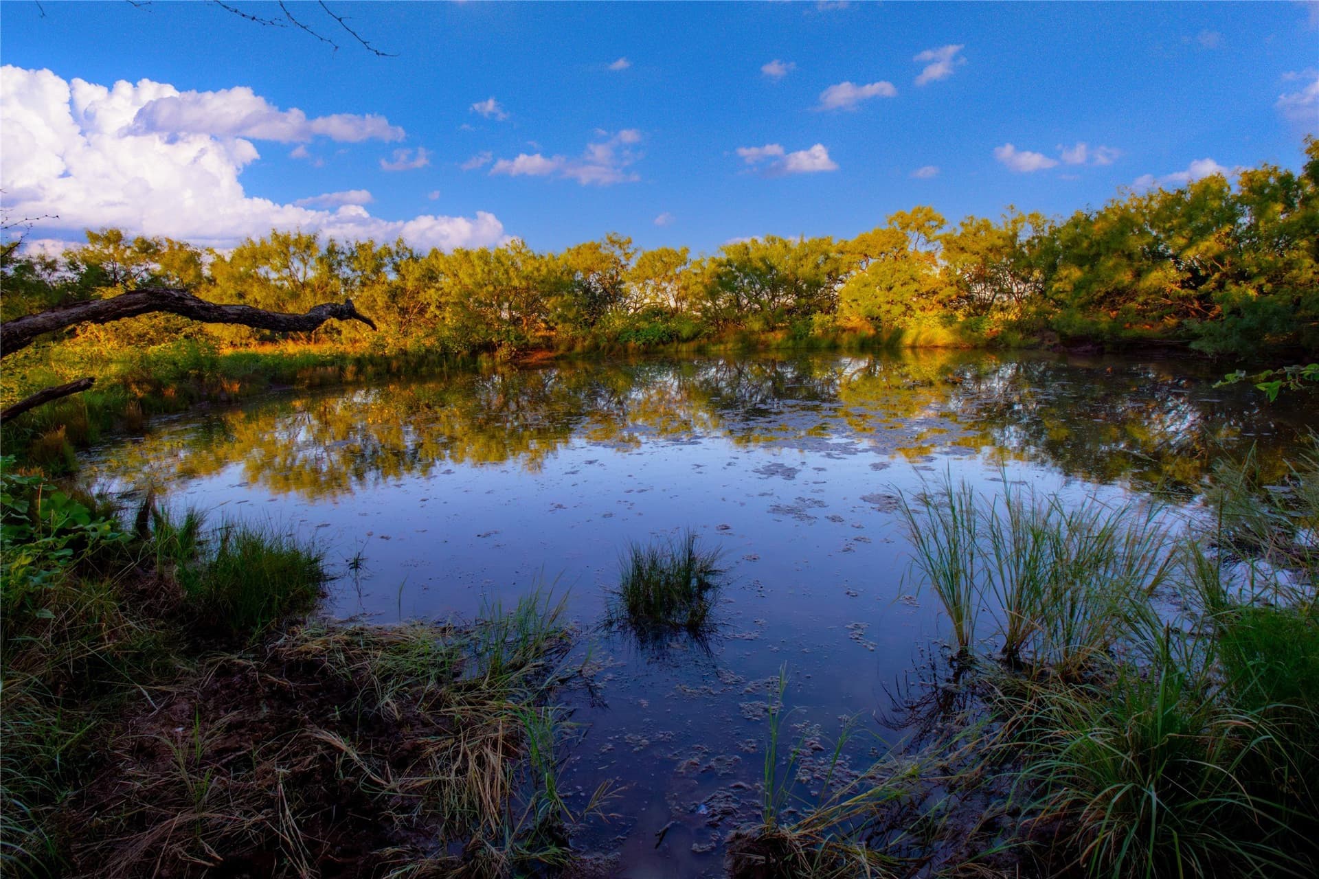 54.55 acres in Palo Pinto County - photo 21