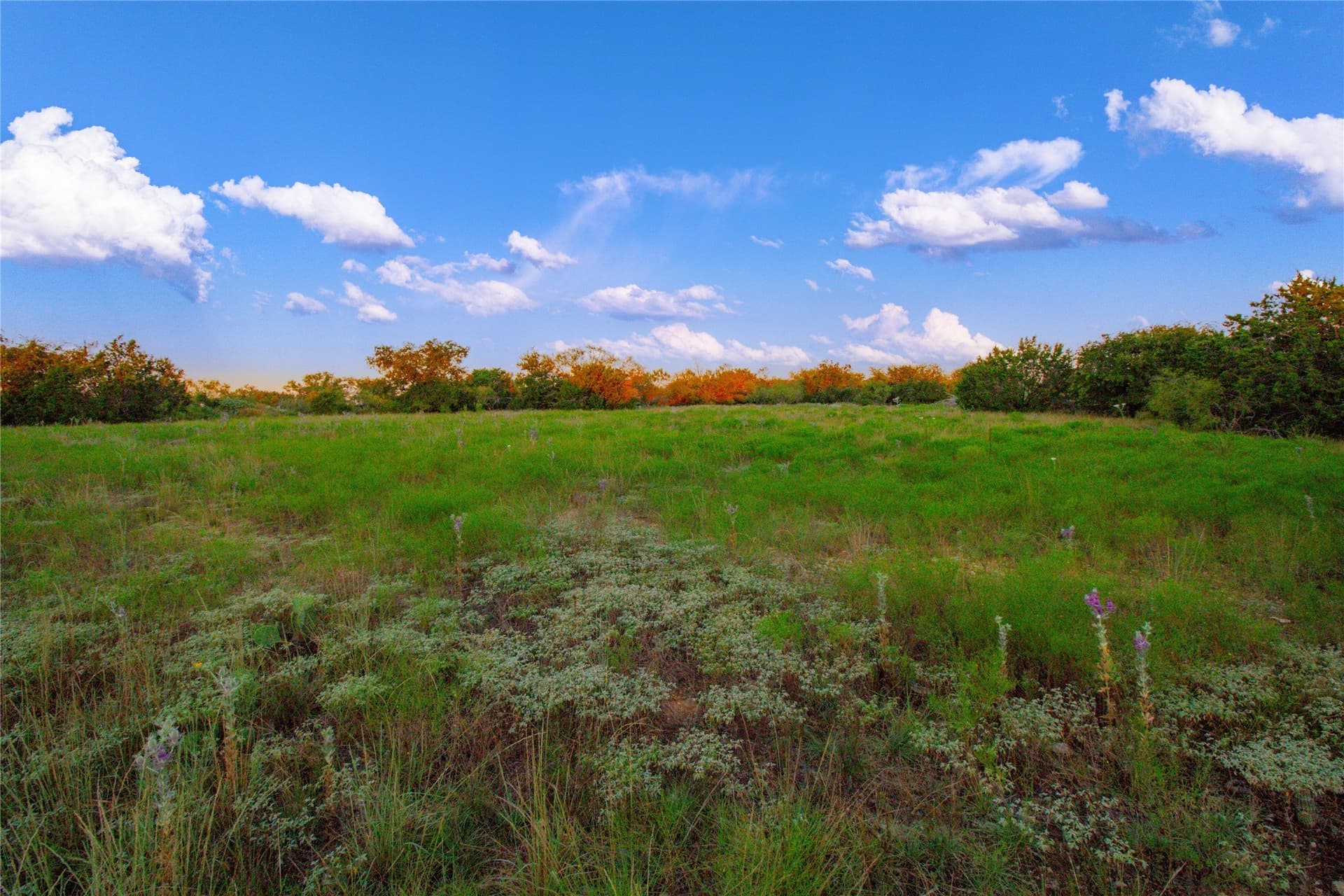 54.55 acres in Palo Pinto County - photo 20