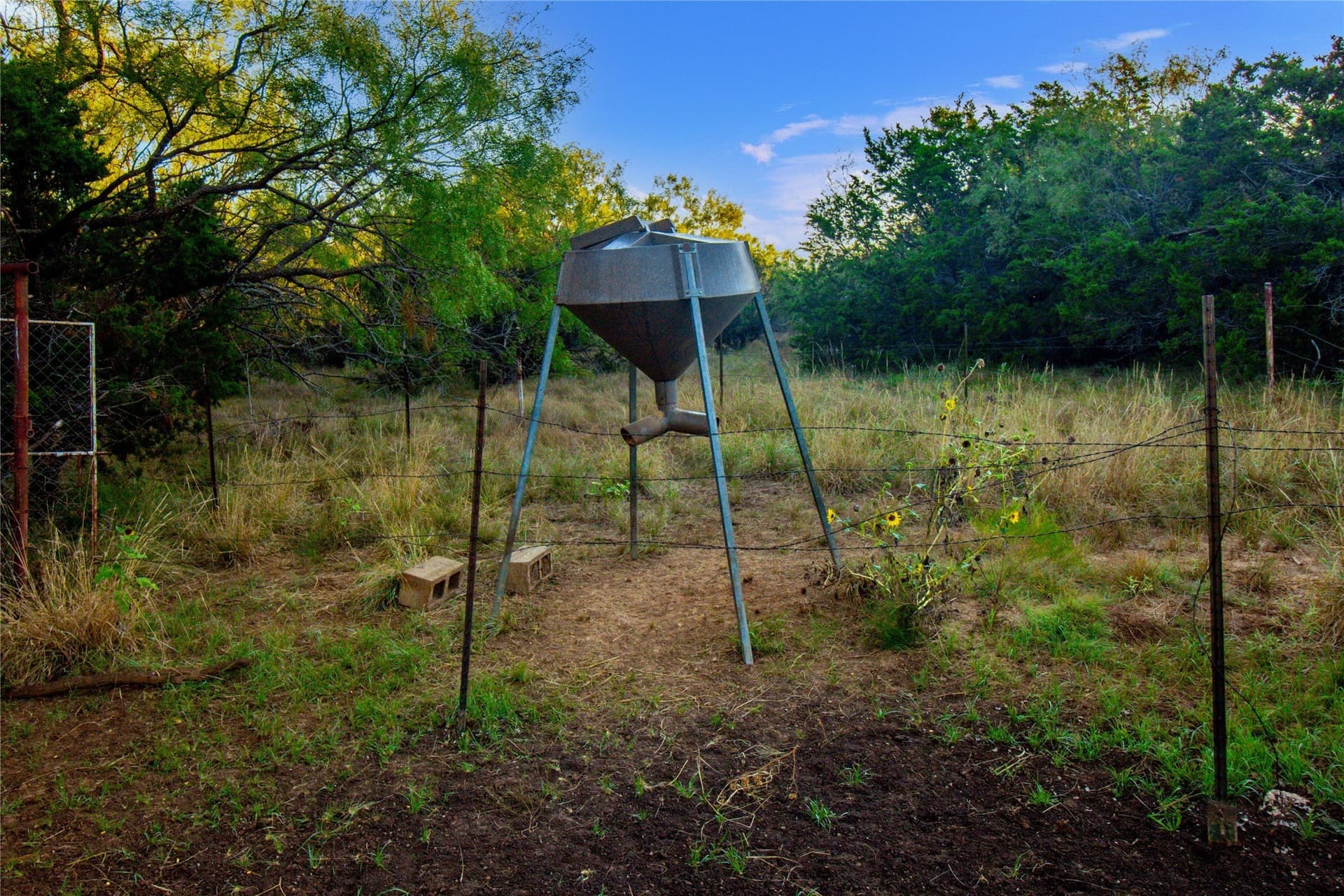 54.55 acres in Palo Pinto County - photo 9