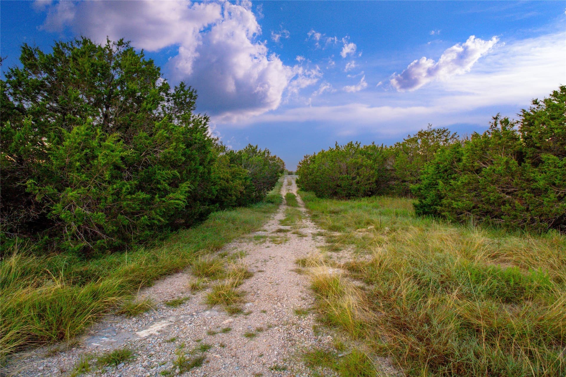 54.55 acres in Palo Pinto County - photo 10