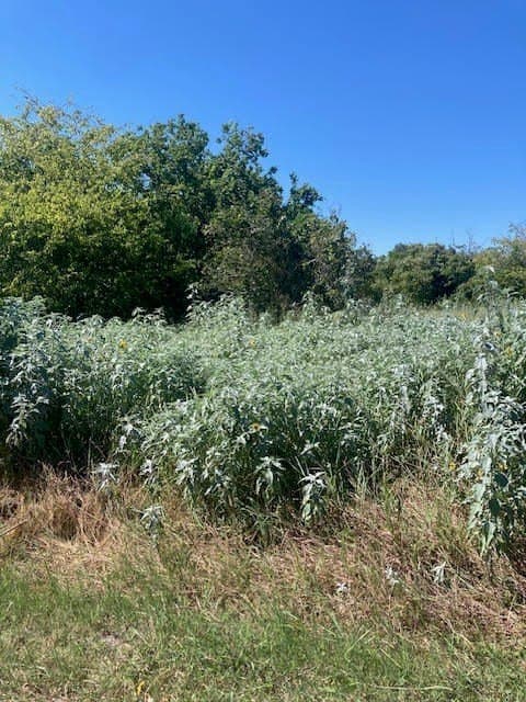 1 acres in Texas County gallery image 3