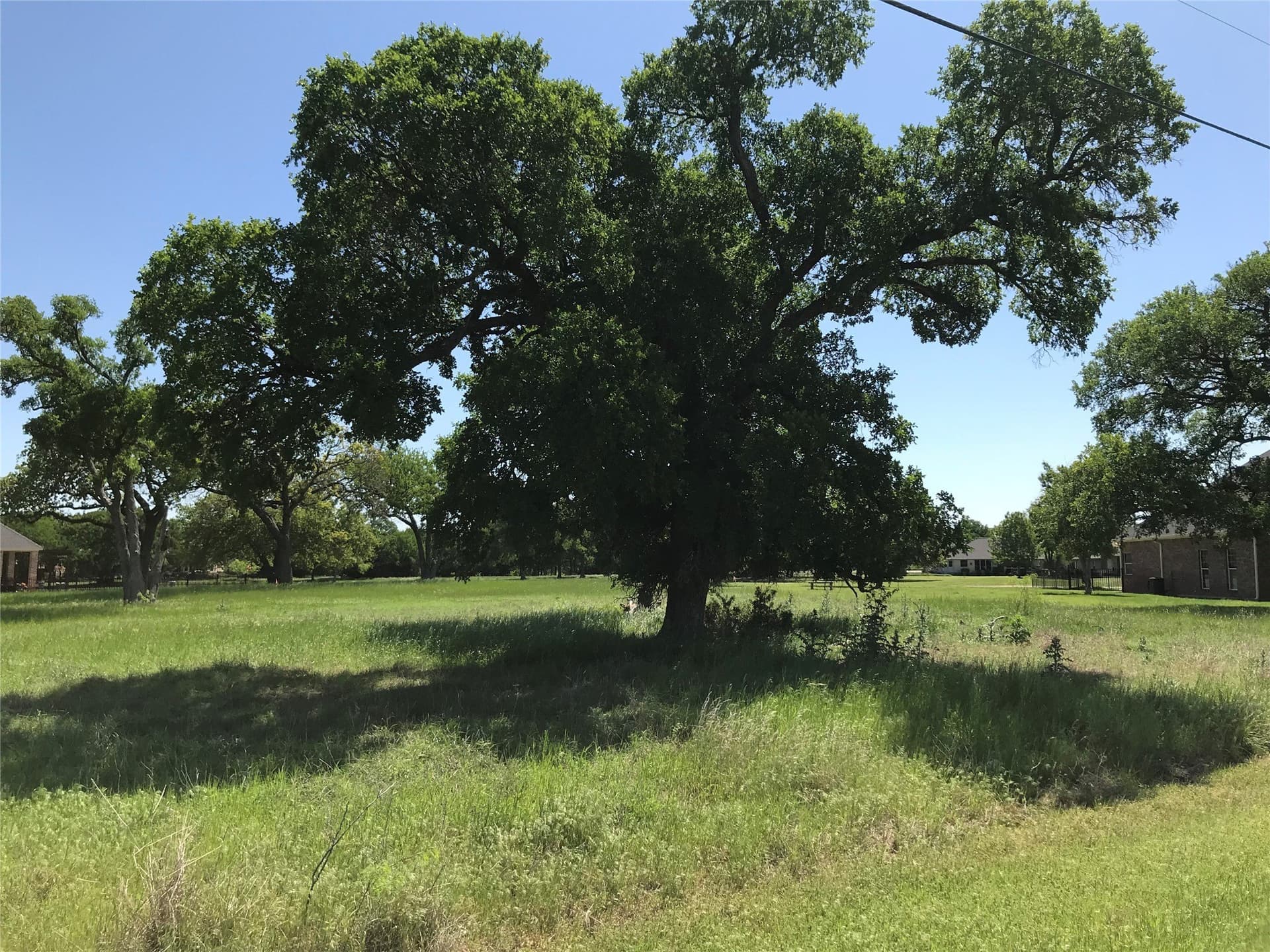 0.25 acres in Hill County - photo 7