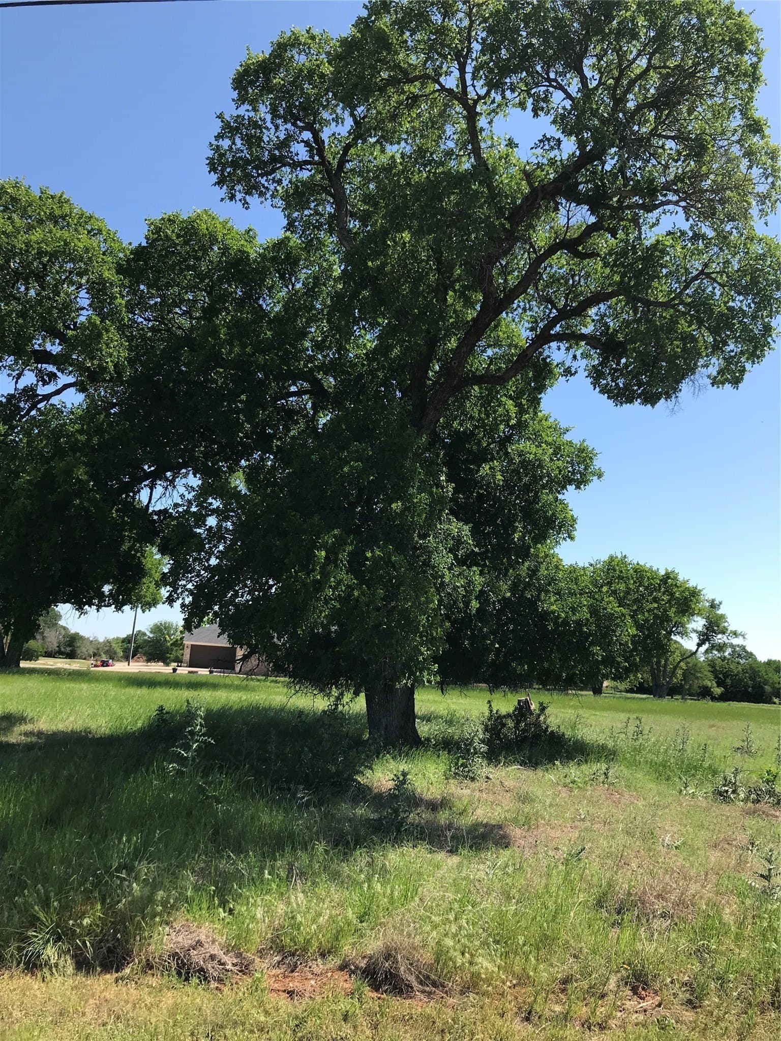 0.25 acres in Hill County - photo 6