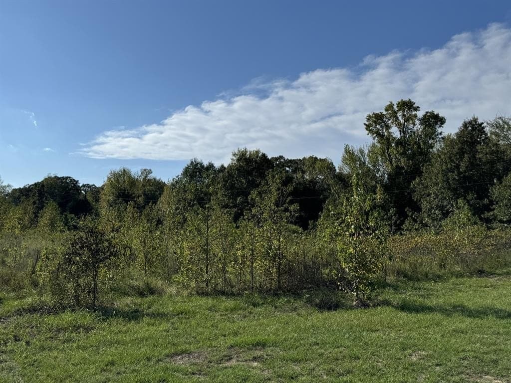 1.81 acres in Red River (TX) County featured view