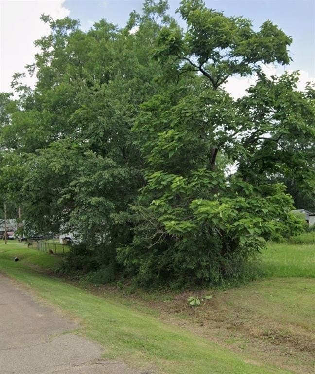 0.25 acres in Bowie County gallery image 4