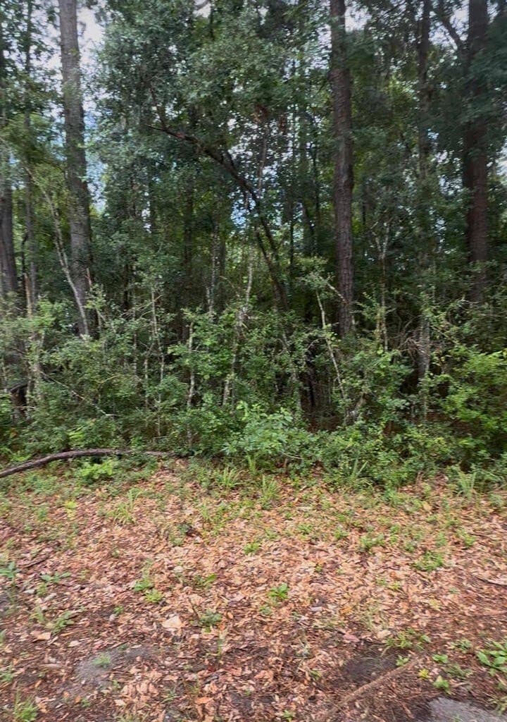 13.83 acres in Texas County - photo 3
