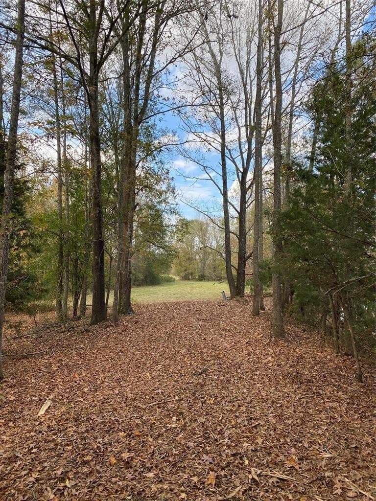 5.48 acres in Henderson County gallery image 4