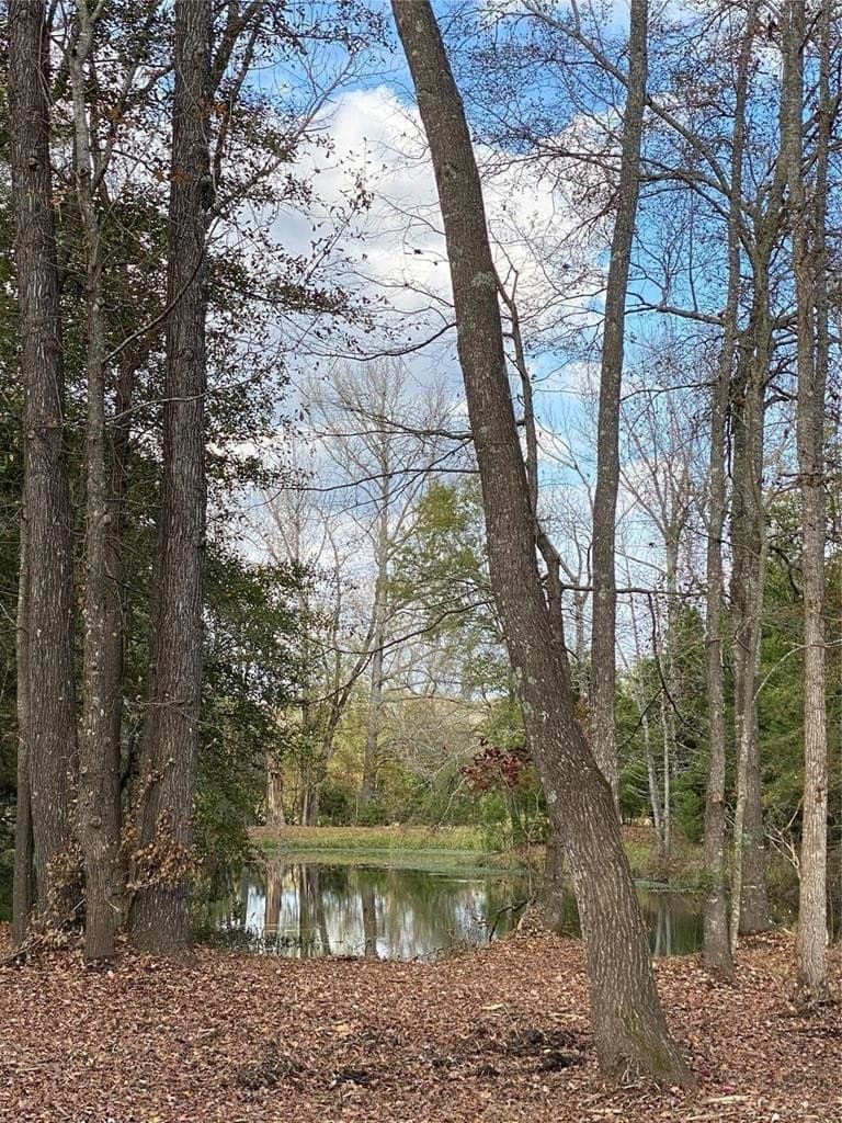 5.48 acres in Henderson County - photo 6