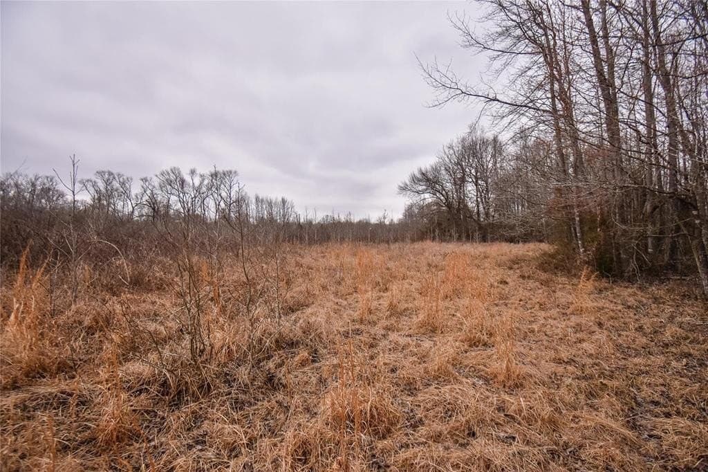 5.48 acres in Henderson County - photo 10