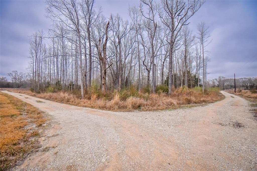 5.48 acres in Henderson County - photo 12