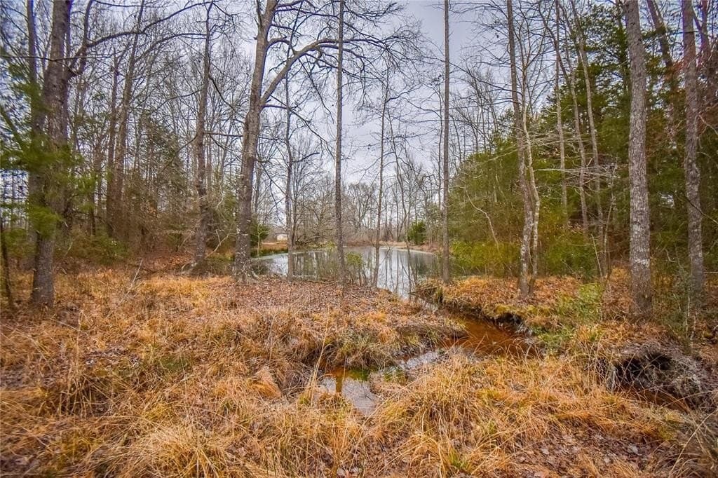 5.48 acres in Henderson County - photo 7
